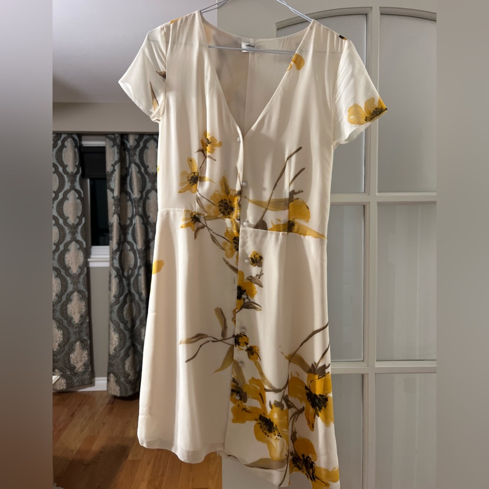 Aritzia floral dress